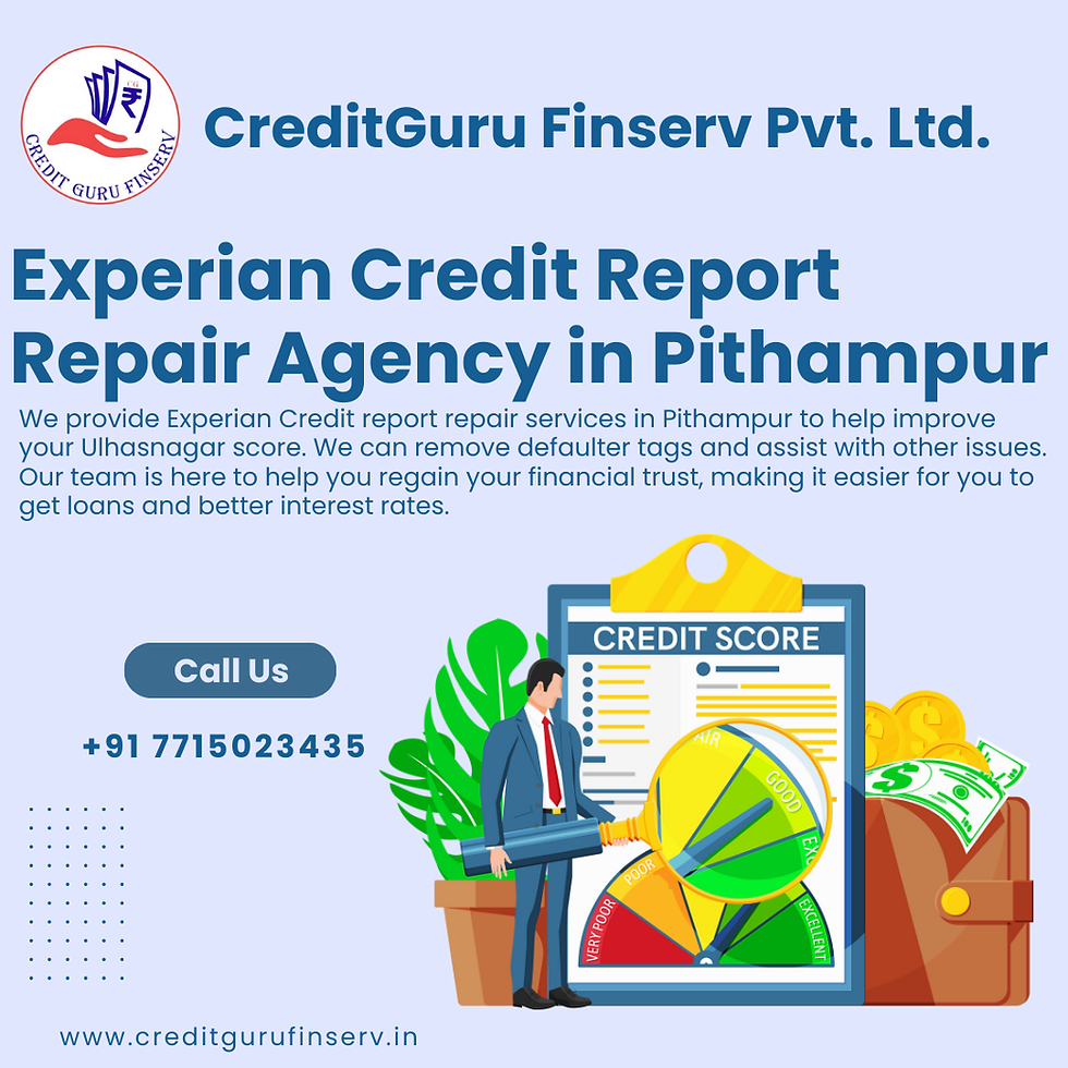 Experian Credit Report Repair Agency in Pithampur