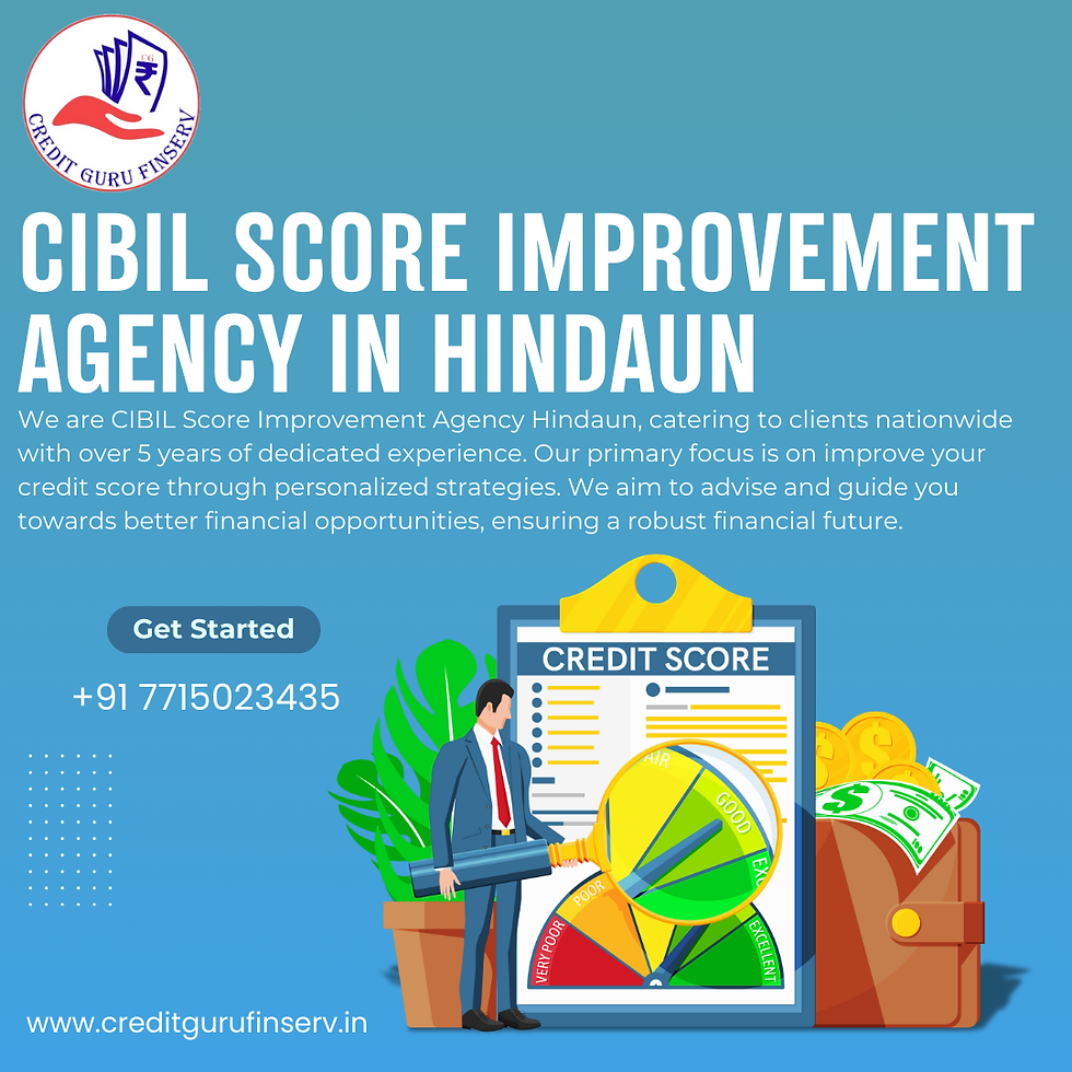 CIBIL Score Improvement Agency in Hindaun