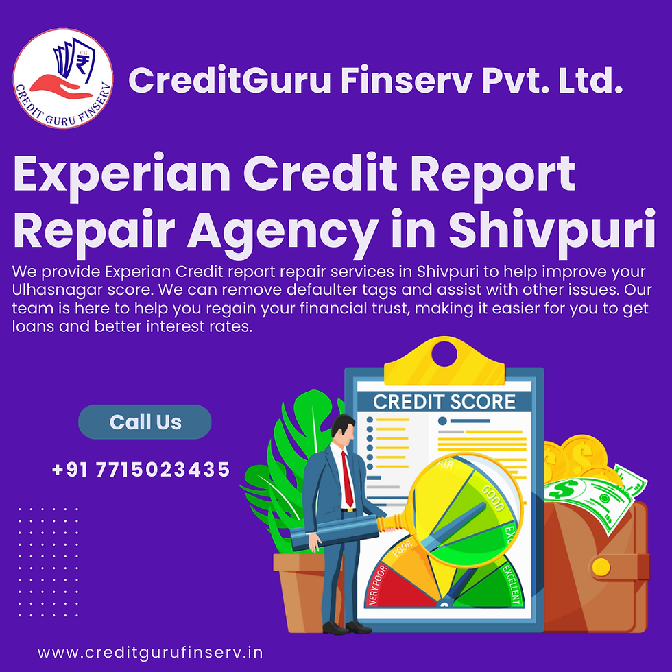Experian Credit Report Repair Agency in Shivpuri