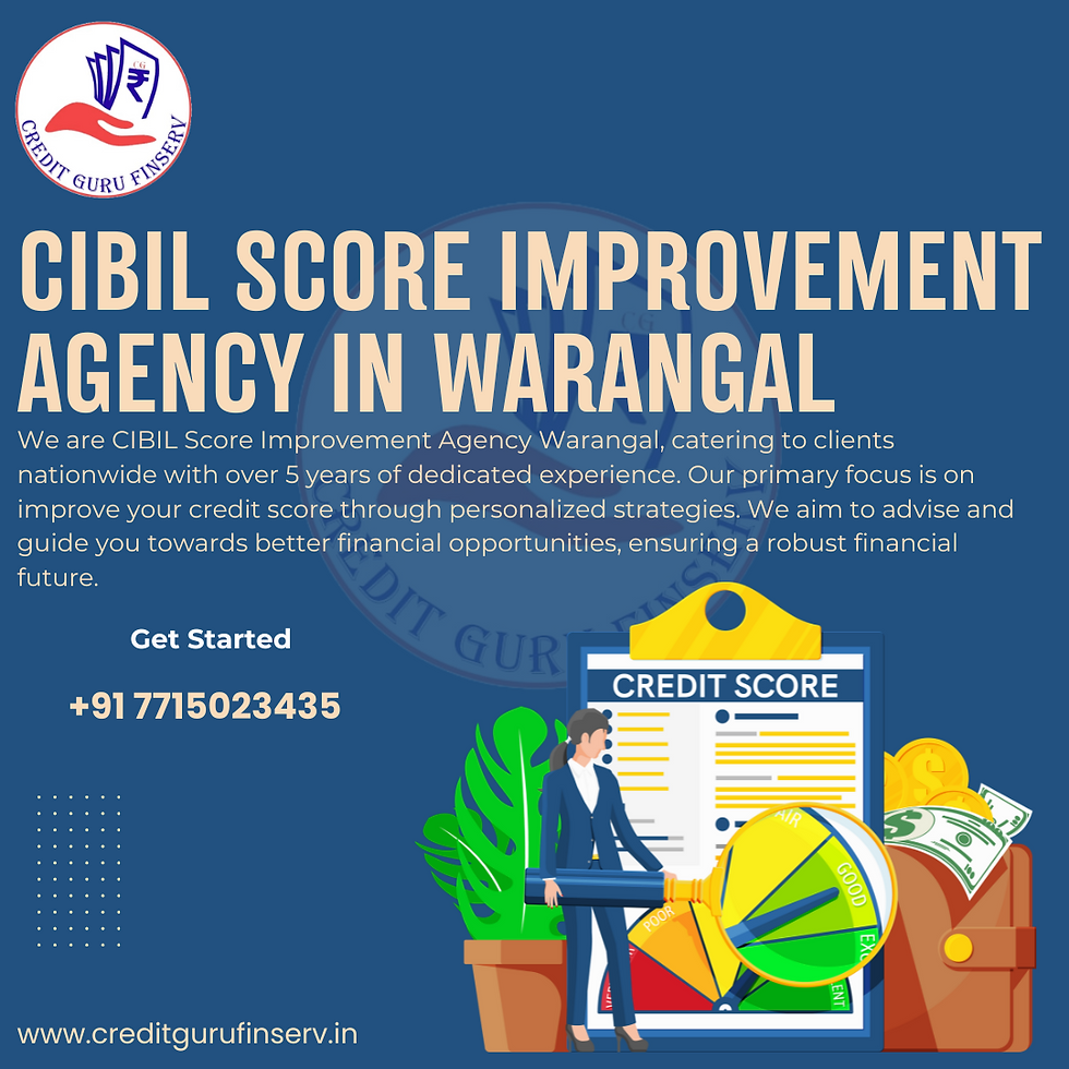 CIBIL Score Improvement agency in Warangal