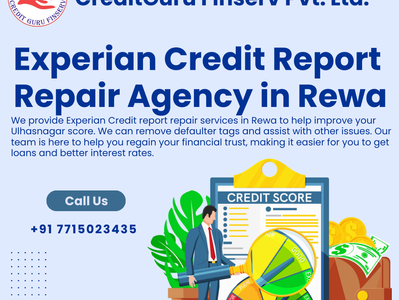Experian Credit Report Repair Agency in Rewa