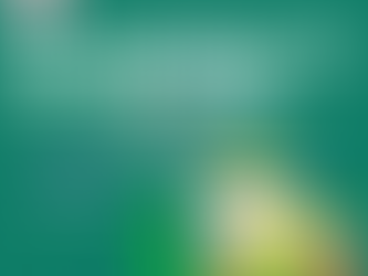 CIBIL Score Improvement agency in Jaleswar