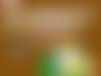 CIBIL Score Improvement agency in Anandapur