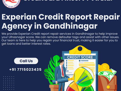 Experian Credit Report Repair Agency in Anand