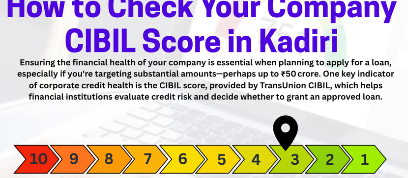 How to Check Your Company CIBIL Score in Kadiri