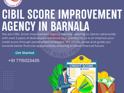 CIBIL Score Improvement Agency in Barnala
