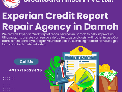 Experian Credit Report Repair Agency in Damoh