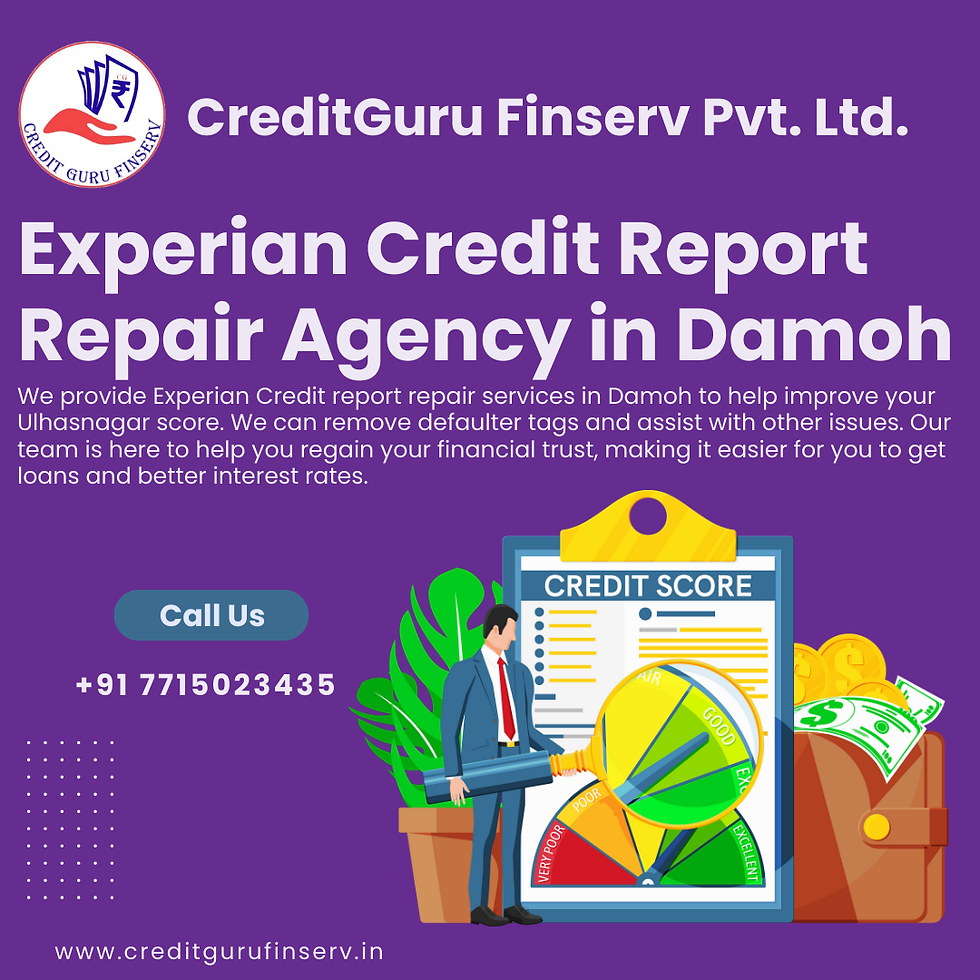 Experian Credit Report Repair Agency in Damoh