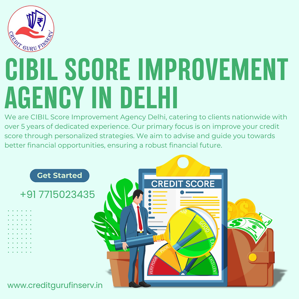 CIBIL Score Improvement Agency in Delhi