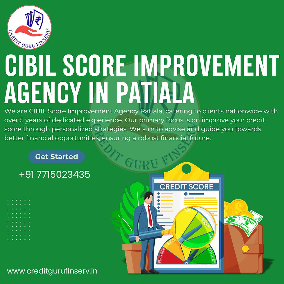 CIBIL Score Improvement Agency in Patiala
