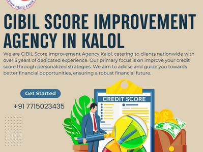 CIBIL Score Improvement Agency in Kalol