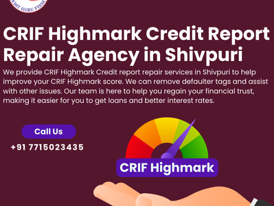 CRIF Highmark Credit Report Repair Agency in Shivpuri