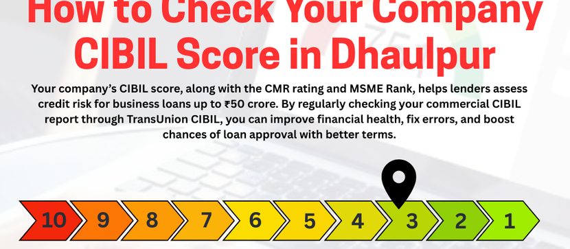 How to Check Your Company CIBIL Score in Dhaulpur