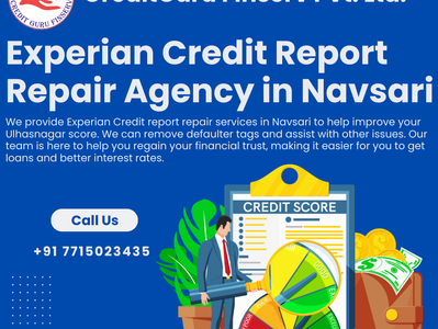 Experian Credit Report Repair Agency in Navsari