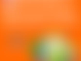 Experian Credit Report Repair Agency in Dewas