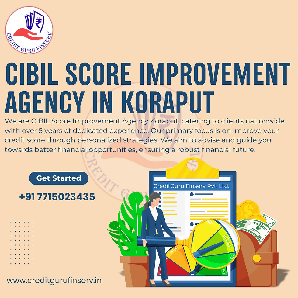 CIBIL Score Improvement agency in Koraput