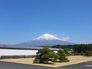 富士山/大石寺