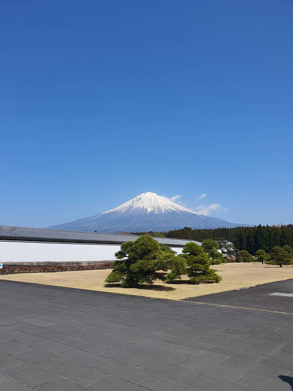 富士山/大石寺
