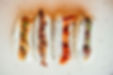 DSC_5105x-min_edited.jpg