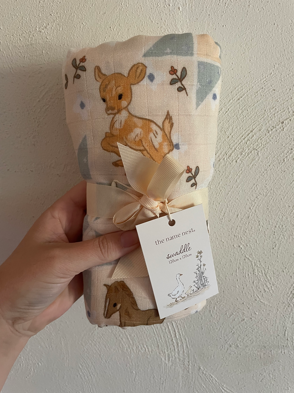 Thumbnail: Baby Swaddle