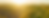 banners 1.png