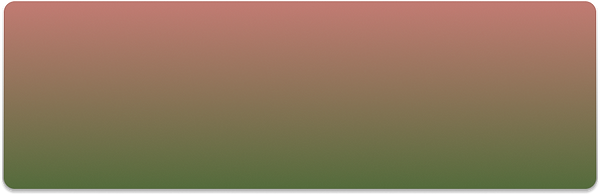 Rectangle 40 (1).png