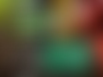 COPES completa um ano de atuação e consolida a região no mercado nacional de produtos de origem animal.