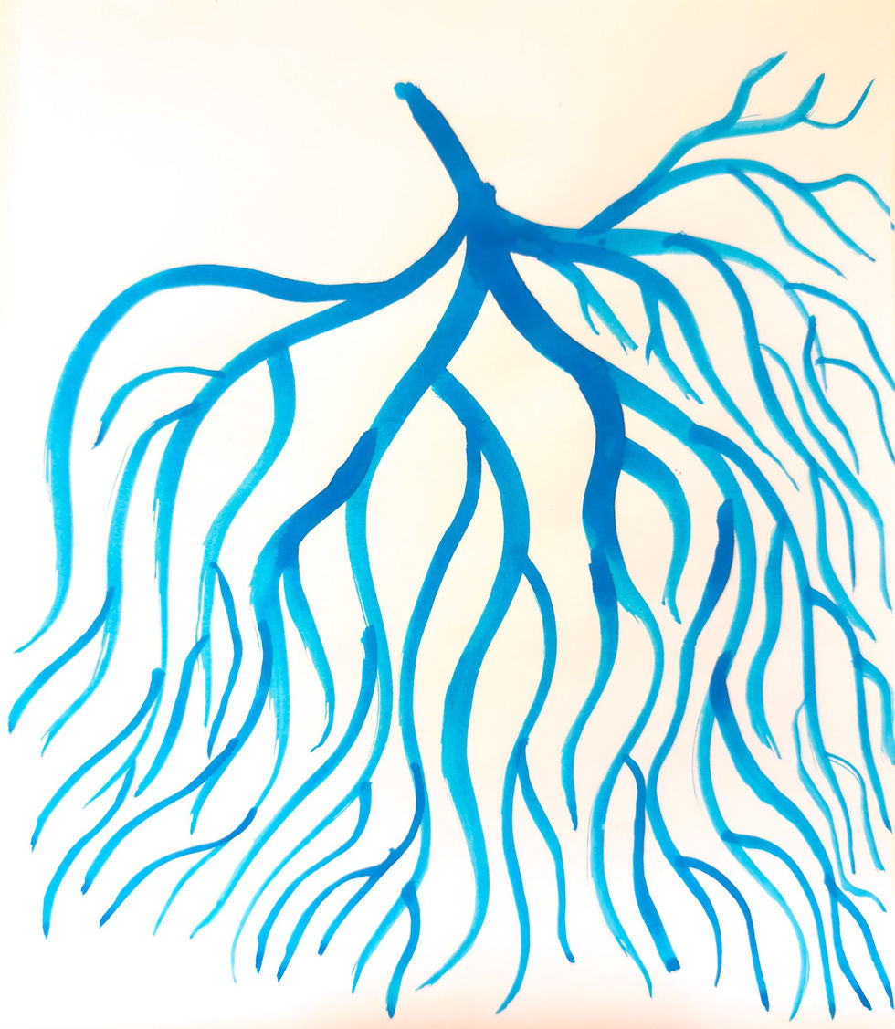 first in series, gift for doc k