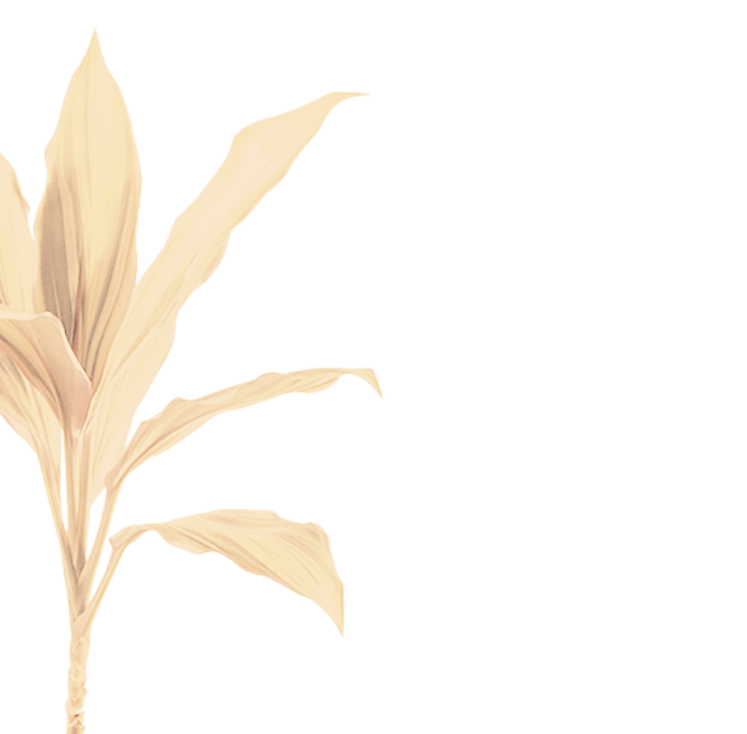 Aloha Mortuary Plant Background