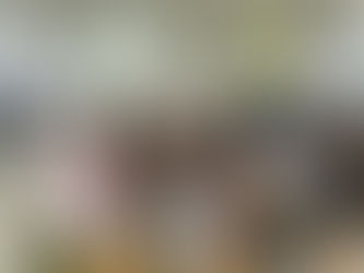 Workshop der AUVA für FIRI 4