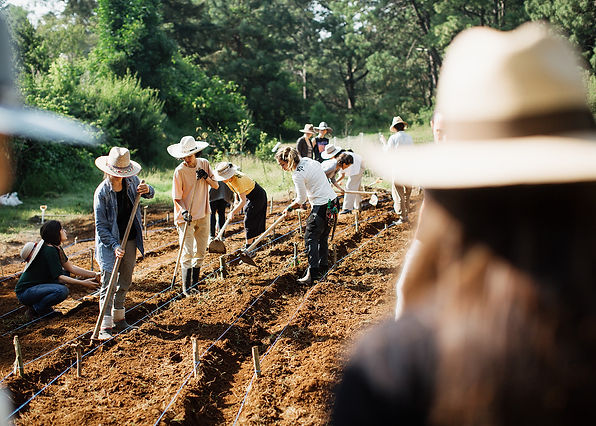 Taller Agroforestal -43.jpg