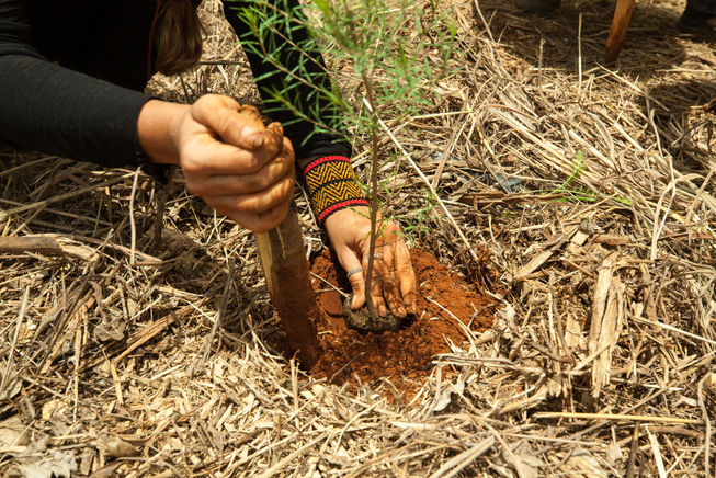 Copia de IMG_4306.jpg