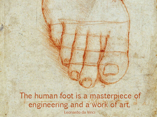 Partire dalle fondamenta: i benefici della GYROKINESIS® sui piedi 