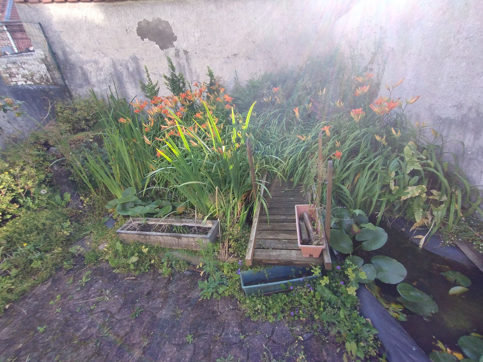 IMG_20240701_085327267