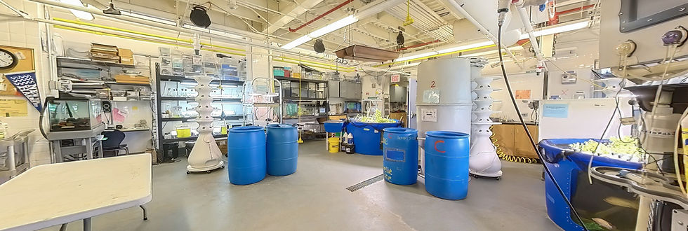New York Harbor School aquaculture lab.