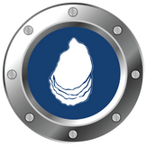 Oyster shell
