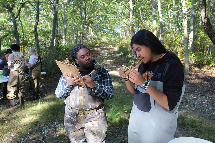 Students in waders conduct marine affairs field research.