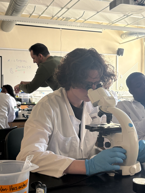 Student using microscope in aquaculture class