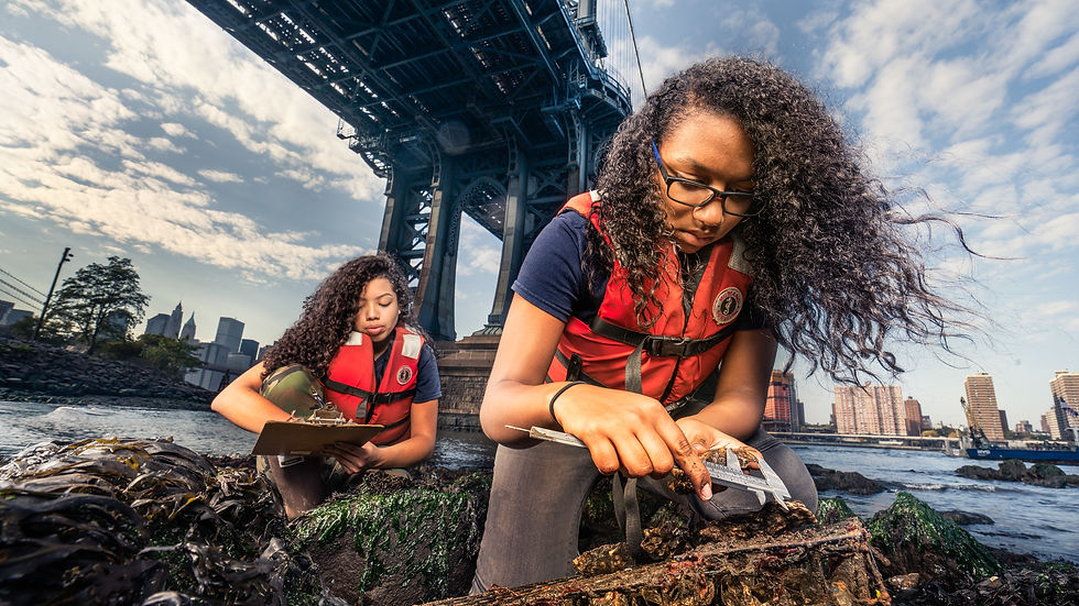Students monitoring oysters in New York Harbor, photo by Benjamin Von Wong