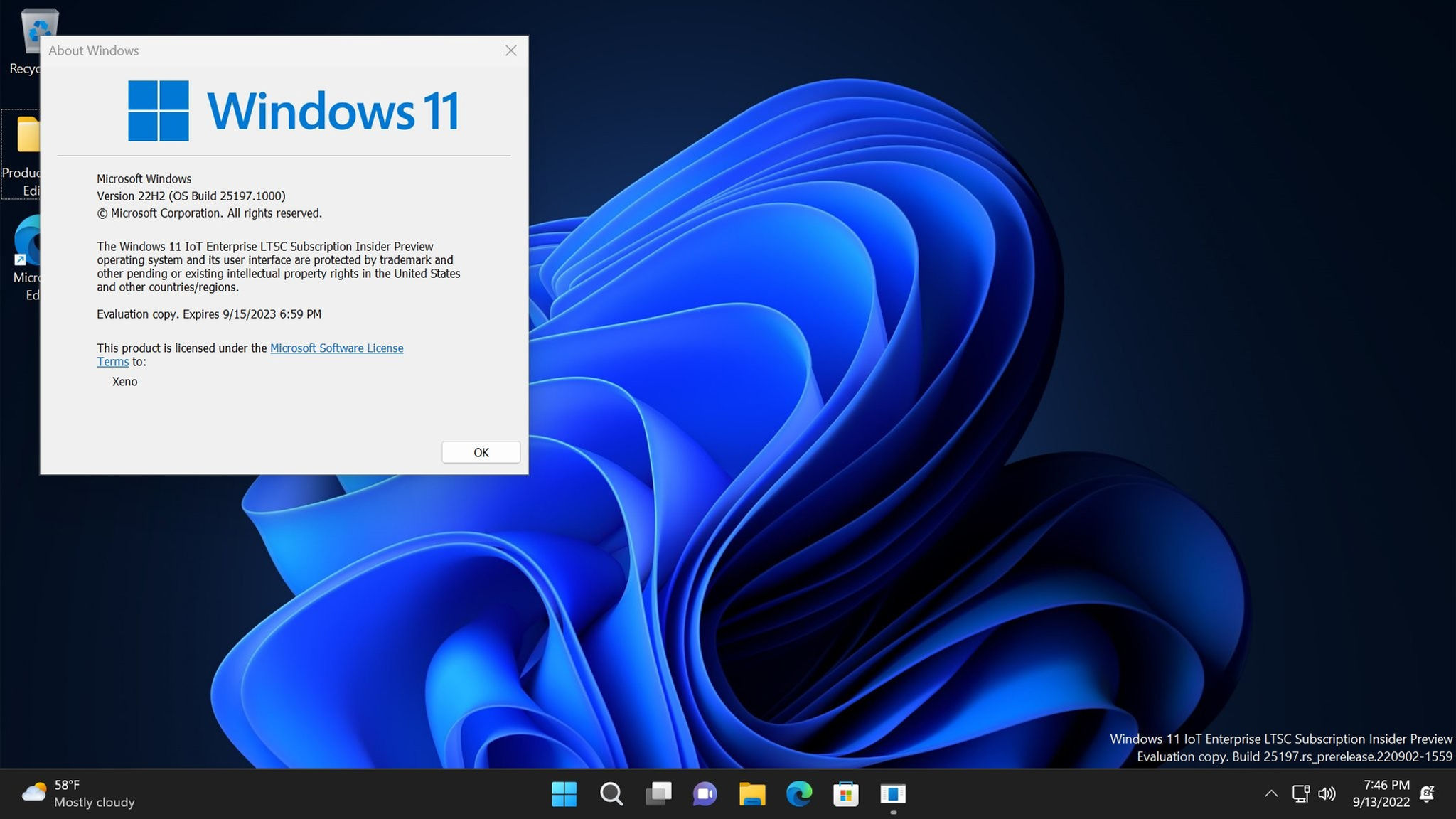 Pinnpos Windows 11 IOT Entry Enterprise 2024 LTSC One Key Per COA License