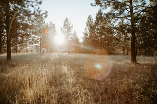 Vernon Maternity Photographer