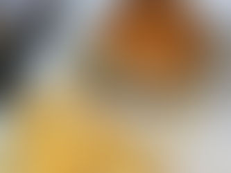 SALT burgers + fries