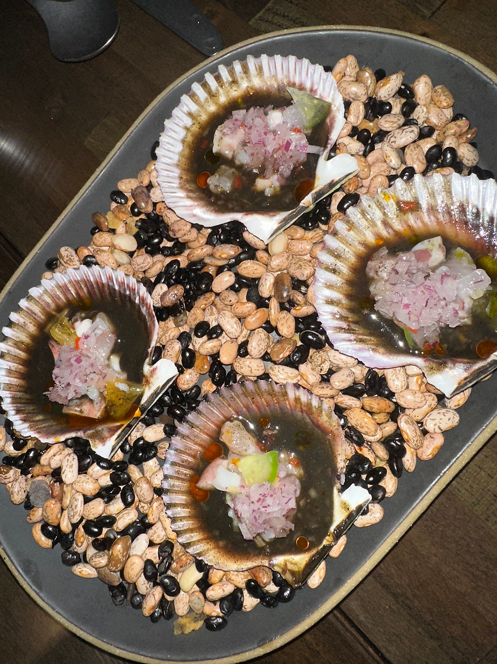 Seafood shells with scallops, octopus, and salsa negra at Matilda Chicago.