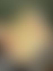 Brooklyn Bagel & Coffee Company