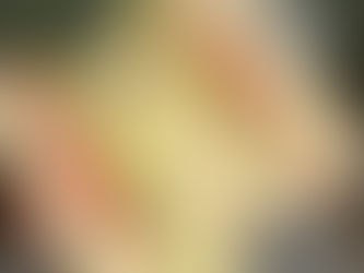 Brooklyn Bagel & Coffee Company