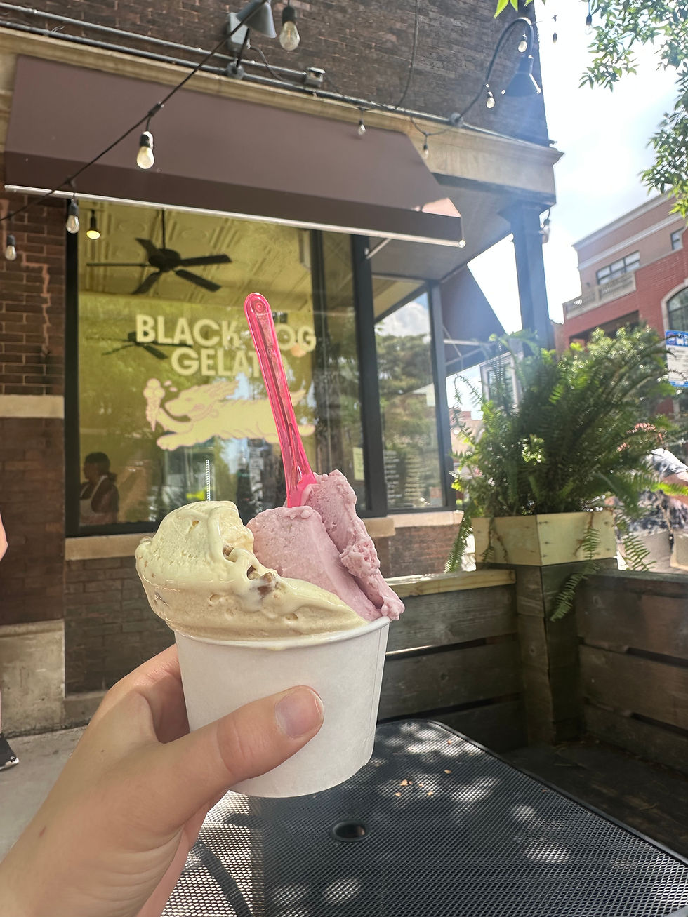 Cup of Italian Cookie and Strawberry gelato from Black Dog Gelato.