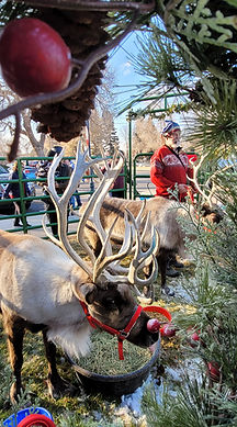 johnstown jingle image 1.jpg