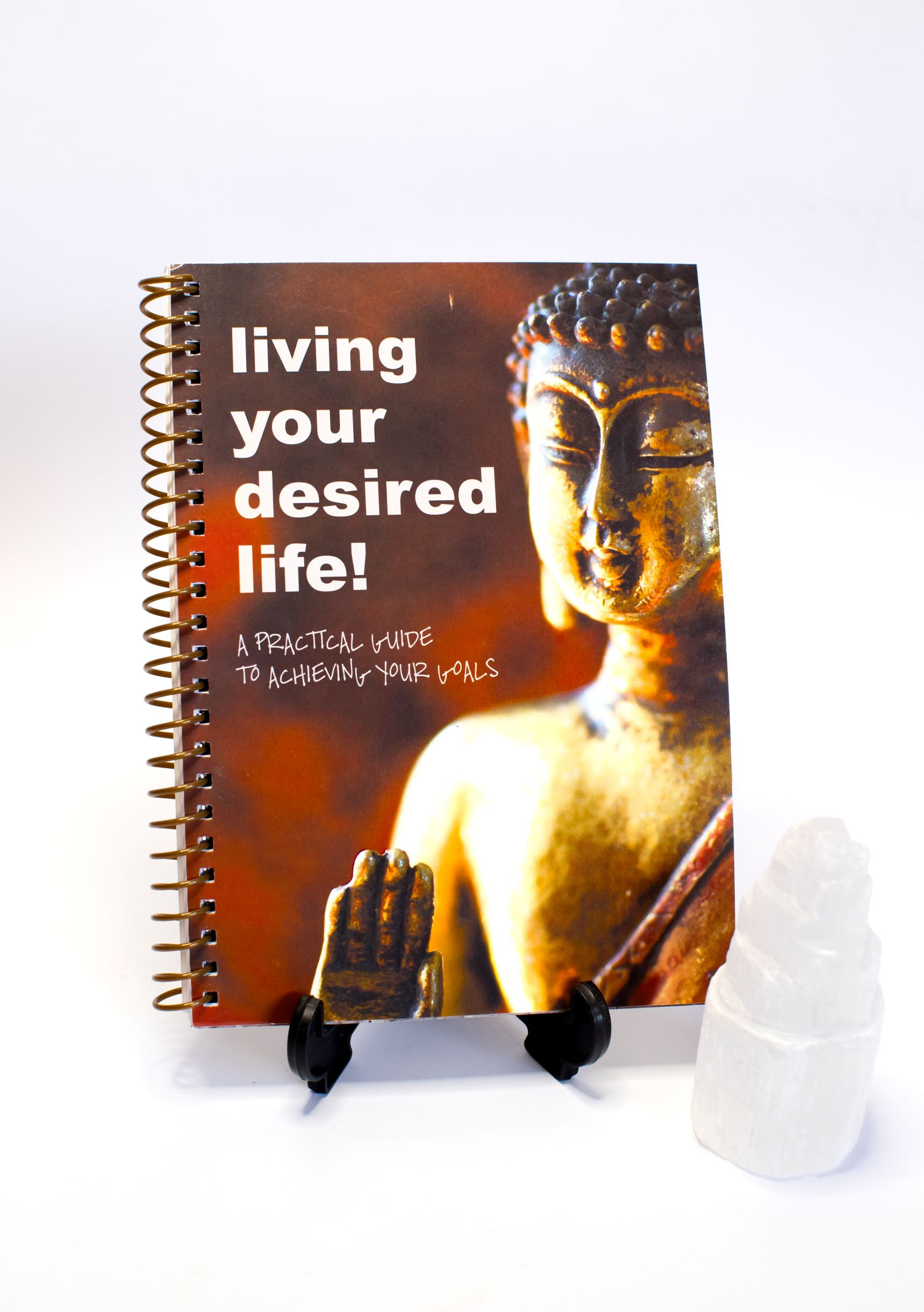 Living Your Desired Life...Goal Setting Book
