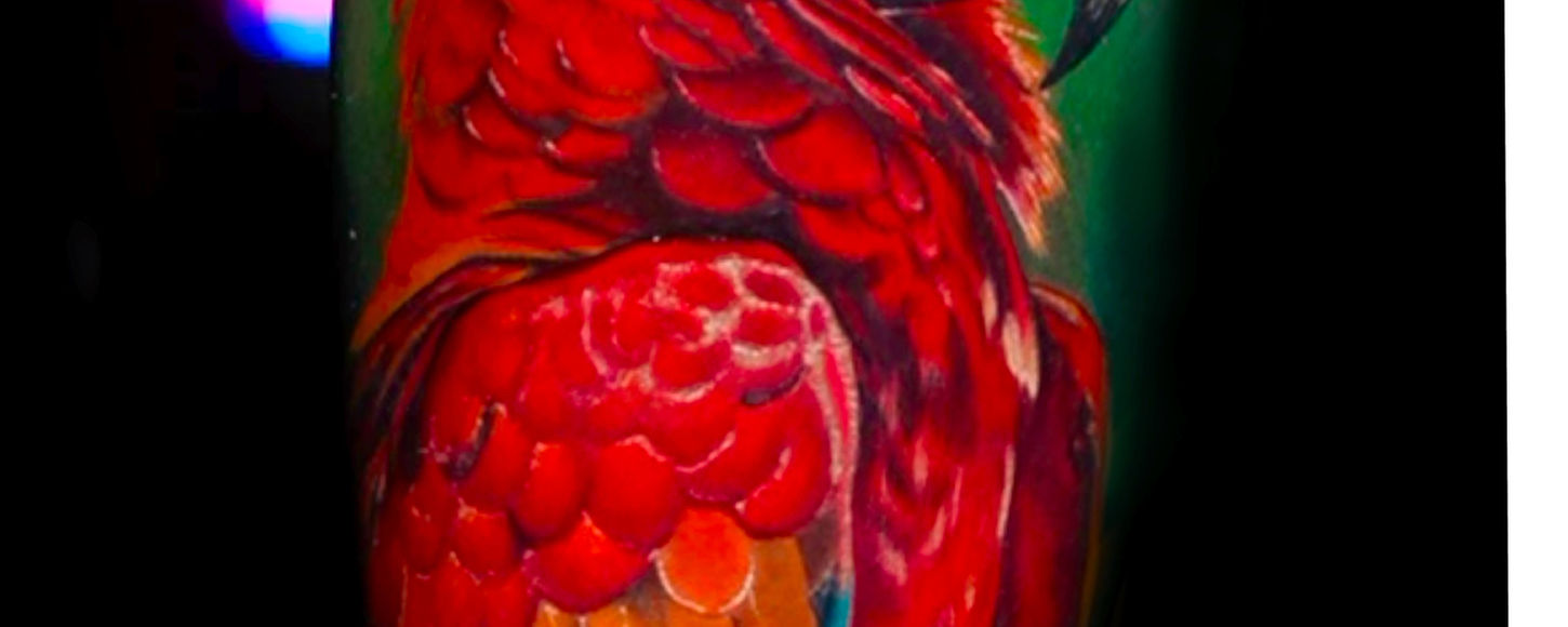 Custom color realism tattoo created at Inkworks Tattoo & Art Studio in Tampa, featuring vivid colors and hyper-realistic shading.