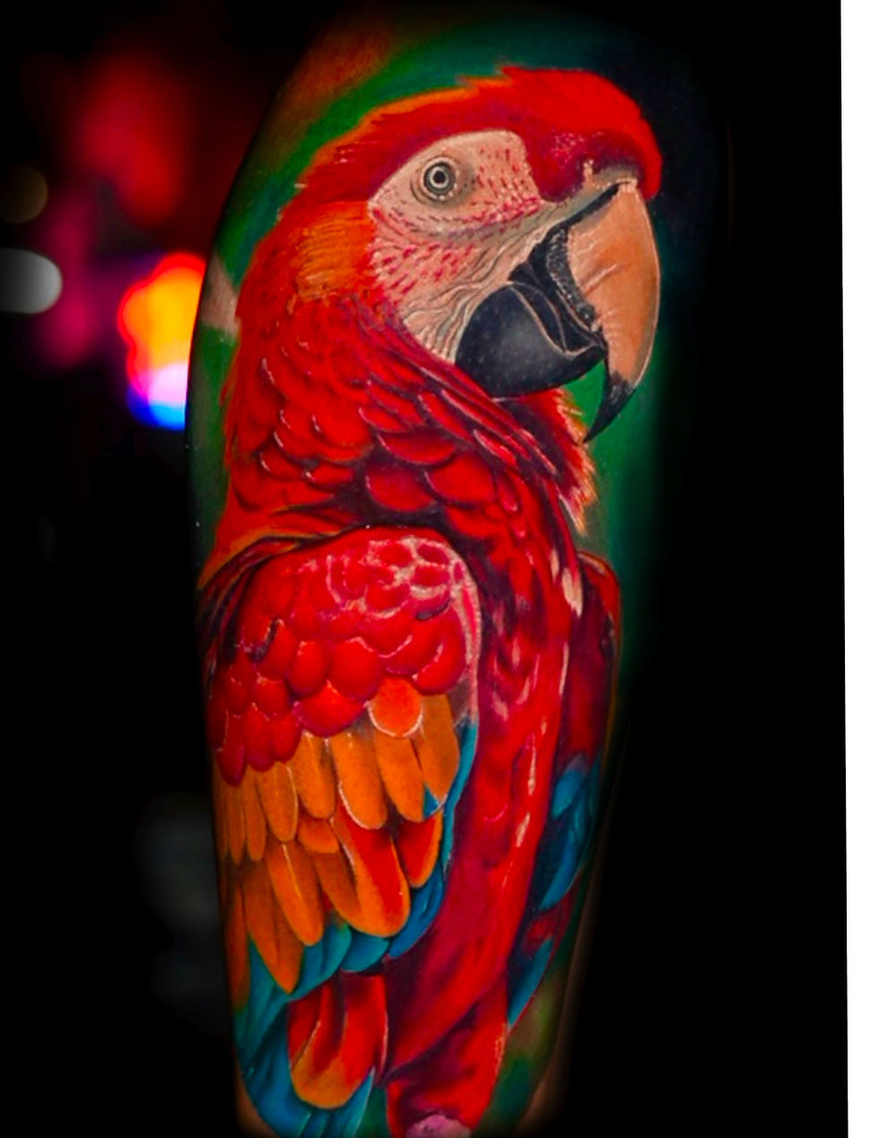 Color Anime Tattoos Tampa: A Growing Trend Among Young Ink Lovers in Tampa Bay